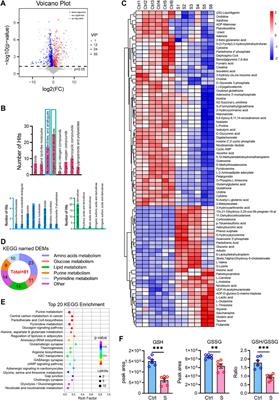 Integrated transcriptomics and metabolomics analysis of the hippocampus reveals altered neuroinflammation, downregulated metabolism and synapse in sepsis-associated encephalopathy